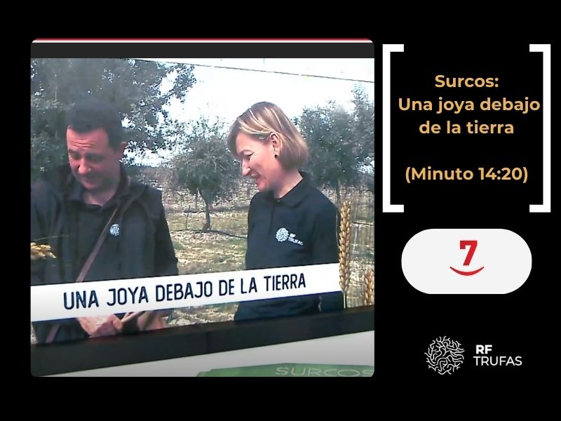 RF Trufas en Surcos, de la 7 de Castilla y León: Una joya debajo de tierra