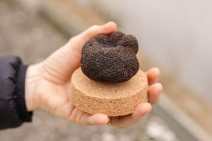 Trufa negra RF Trufas